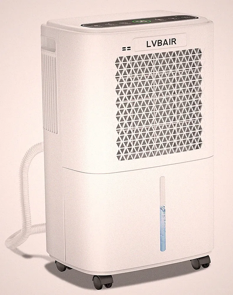 Luftentfeuchter Elektrisch 12L/Tag 2L Tank Leise für Schlafzimmer und Keller